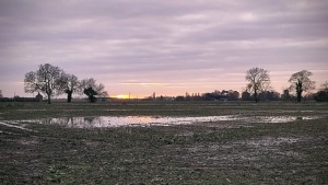 December. 
A soggy field south-west of Butterwick, 15/12/2023 Select this image to see a larger version. 