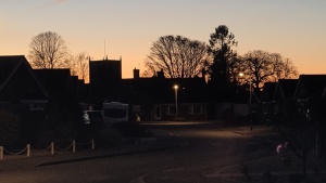 March: looking from my living room window at dusk&nbsp;Select this image to see a larger version. 