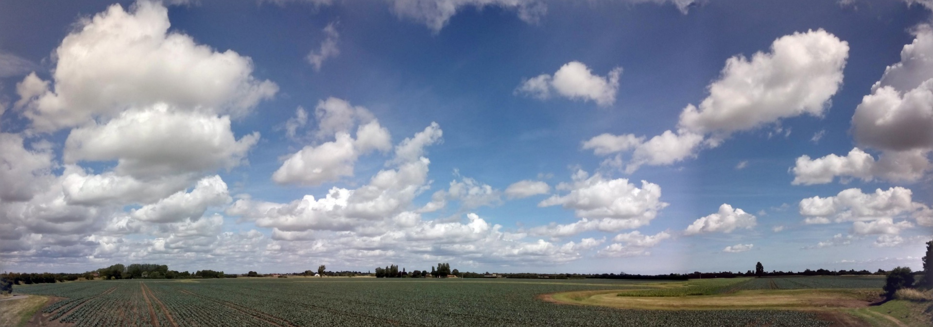 Select this image to see a larger version. IMG 20150801T124223
Lincolnshire's Big Sky