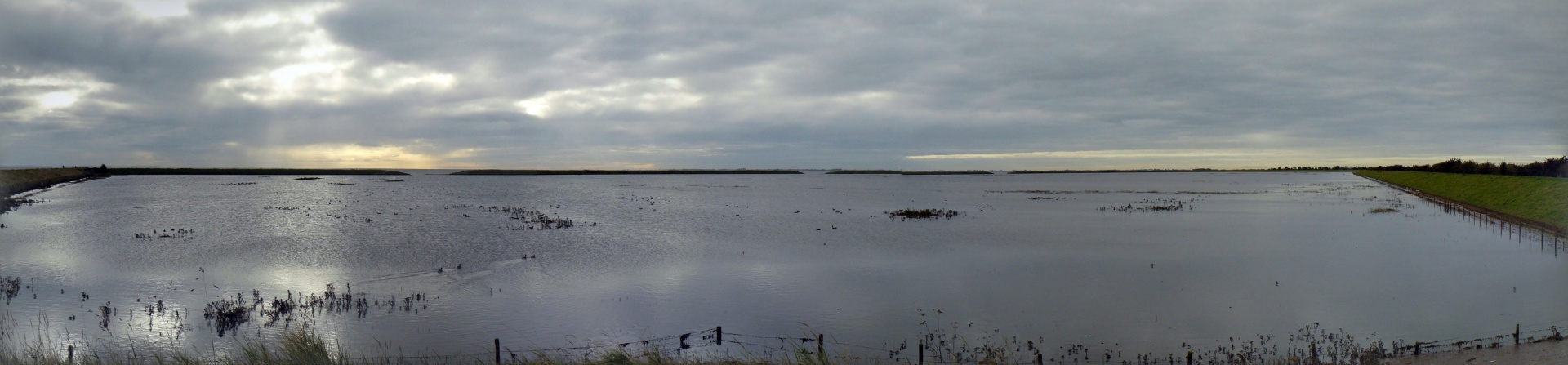 Select this image to see a larger version. P1070079 PANO.
9:42:37am Wed 19 Oct 2016.
RSPB Freiston Shore, Flooded Salt Marsh at Spring Tide.
