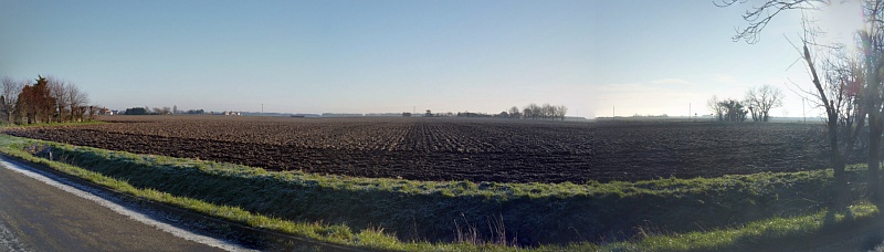 P1050701 PANO.
10:27:13am Sun 18 Jan 2015.
A Lincolnshire Field.
 Select this image to see a larger version. 